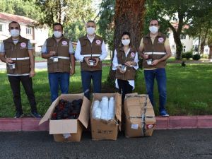 Sirke sineğine tuzaklı önlem