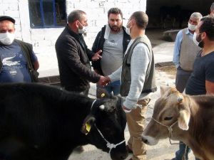 Hayvan pazarında bildik görüntüler