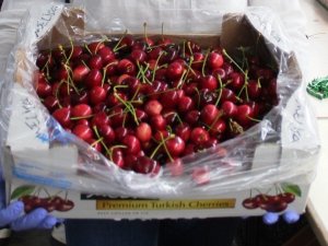 Alaşehirli kadın girişimci internetten kiraz satışına başladı