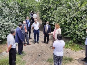 TARSİM’den Adana Turunçgil Üreticileri Birliği Başkanı’na ziyaret