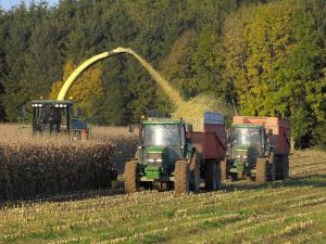 HEKTAŞ, tohum ıslahına odaklanıyor