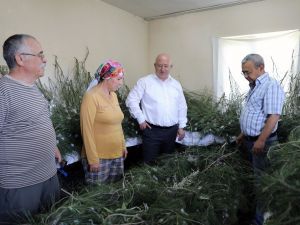 İpek böcekçiliği, kadın üreticilerin ellerinde canlanıyor