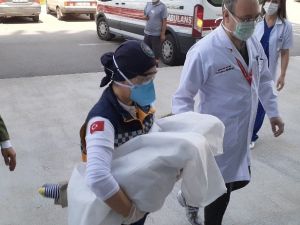 Yapışık ikizler Yiğit ve Derman Ankara Şehir Hastanesine yerleştirildi