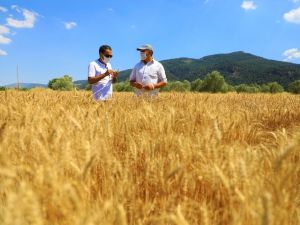 Muğla Büyükşehir’in çiftçilere desteği sürüyor