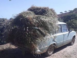 Bir zamanlar makam arabası idi, şimdi köylülerin eli ayağı oldu