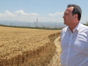 Akhisar Belediyesi, atıl arazilerini tarımla değerlendirdi