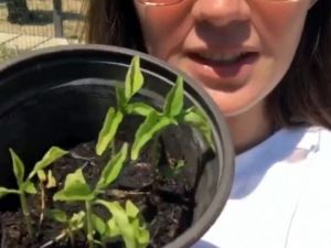 Gizem Karaca’nın yerel ürün sevinci