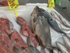 Toptan balık alıcıları kapalı olunca balık çeşitliliği vatandaşa kaldı