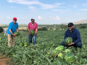 Manisa’nın ünlü Poyraz Karpuzu’nda hasat sevinci