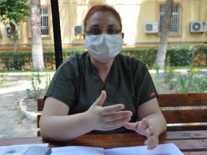 Sağlık müdüründen kene uyarısı