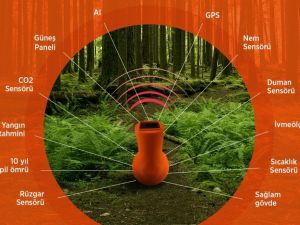 Orman yangınlarına karşı akıllı orman kapsülü geliştirildi