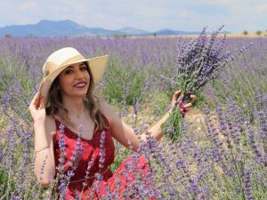 Uşak ‘lavanta’ kokacak