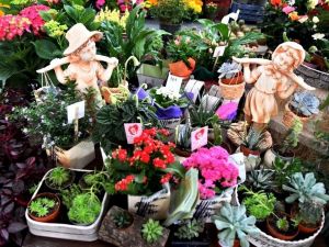 Manisa’da 2. Çiçek Festivali 1 Temmuz’da başlıyor