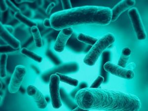 Beslenme kaynaklı hastalıkların oranı yüzde 50’yi aştı