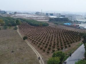 TOKİ’nin arsaları açık arttırma ile satışa çıkıyor