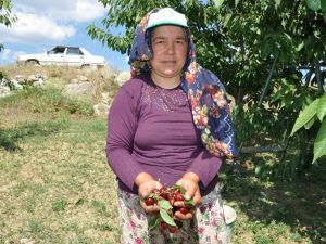 Kiraz üreticisi dertli