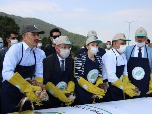 Bakan Pakdemirli doğaya şahin ve 102 keklik saldı