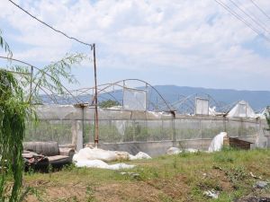 Termal seraları dolu ve fırtına vurdu