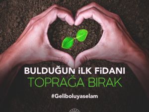 Bakan Selçuk’tan, Gelibolu ağaçları anısına fidan dikme çağrısı