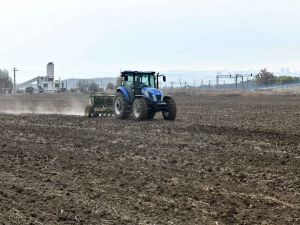 Macar fiğ tohumu desteği için başvuru rekoru