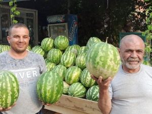 Yerli karpuz tezgahlarda