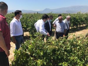 CHP Genel Başkan Yardımcısı Sarıbal Manisa’da