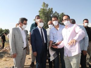 Vali Demirtaş, Ömerli’deki çalışmaları inceledi