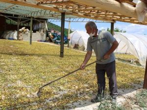 300 kişiye iş imkanı sağlıyor, ancak iş yerine elektrik alamıyor
