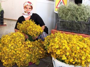 5 liralık şifa kaynağı