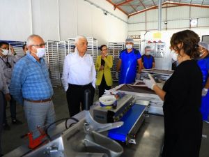 Başkan Gürün, ‘Meyve-sebze kurutma’ tesisini gezdi