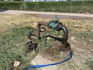 Manisa Büyükşehir Belediyesi üreticilerin yanında