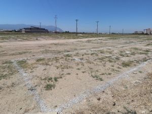 Turgutlu’da hayvan satış ve kurban kesim yerleri belli oldu