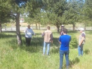 Kurtuluş Savaşı şehitlerinin mezarları tespit ediliyor