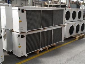 Gurbetçi girişimciden Belçika ve Somali’ye e-ihracat