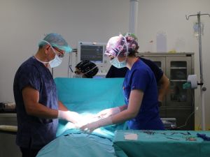 Op. Dr. Bilen: “Sünnet deyip küçümsemeyin”