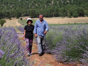 Bin 420 rakıma lavanta tarlası kurdular