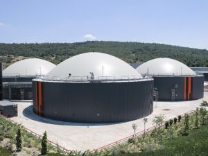 Hayvan dışkıları elektrik ve organik gübreye dönüşüyor