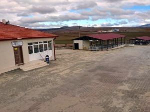 Aslanapa canlı hayvan pazarı hergün açık olacak