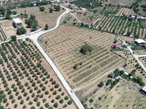 Buca’da sürdürülebilir tarım projesi devam ediyor