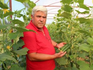 Fransa’da gördü, Alaşehir’de uyguladı