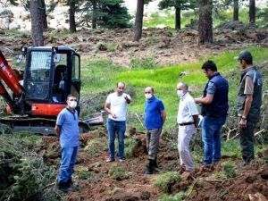 Bölge Müdürü Keskin: "Ormanlarımızı gençleştirmek için çalışıyoruz"