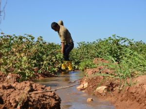 Dicle Elektrik YKB Atalay: "Şanlıurfa ve Mardin’de ödenmeyen borç 3.6 milyar lira"