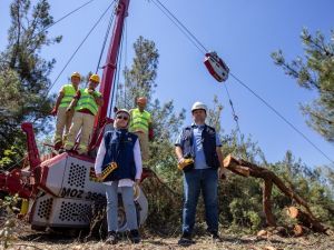 Turgutlu’da orman tahribatı havai hatla engelleniyor