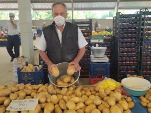 Hisarcık’ta yerli patates çıktı fiyatlar düştü