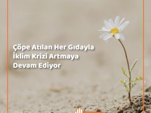 İSTİB’in ‘Gıda İsrafına Son Ver’ yarışmasına büyük ilgi