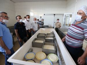 Orman köylülerinin yüzü ORKÖY ile gülüyor