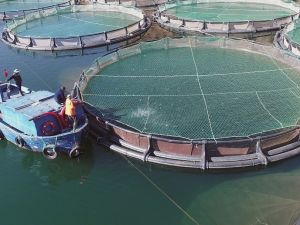 Muğla’dan Haziran ayında en fazla ihracat Yunanistan’a yapıldı