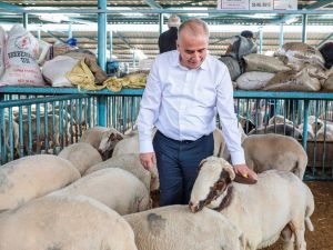 Canlı Hayvan Pazarı kurban boyunca açık olacak