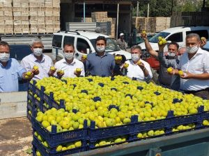 Buharkent’in taze inciri bayrama yetişti