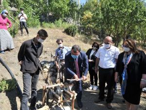 TÜBİTAK Başkanı Mandal genç kaşifi köyünde ziyaret etti